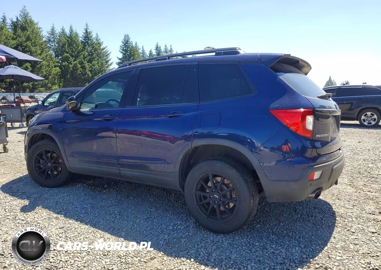 2019 Honda Passport Elite VIN:5FNYF8H09KB026976 - 2
