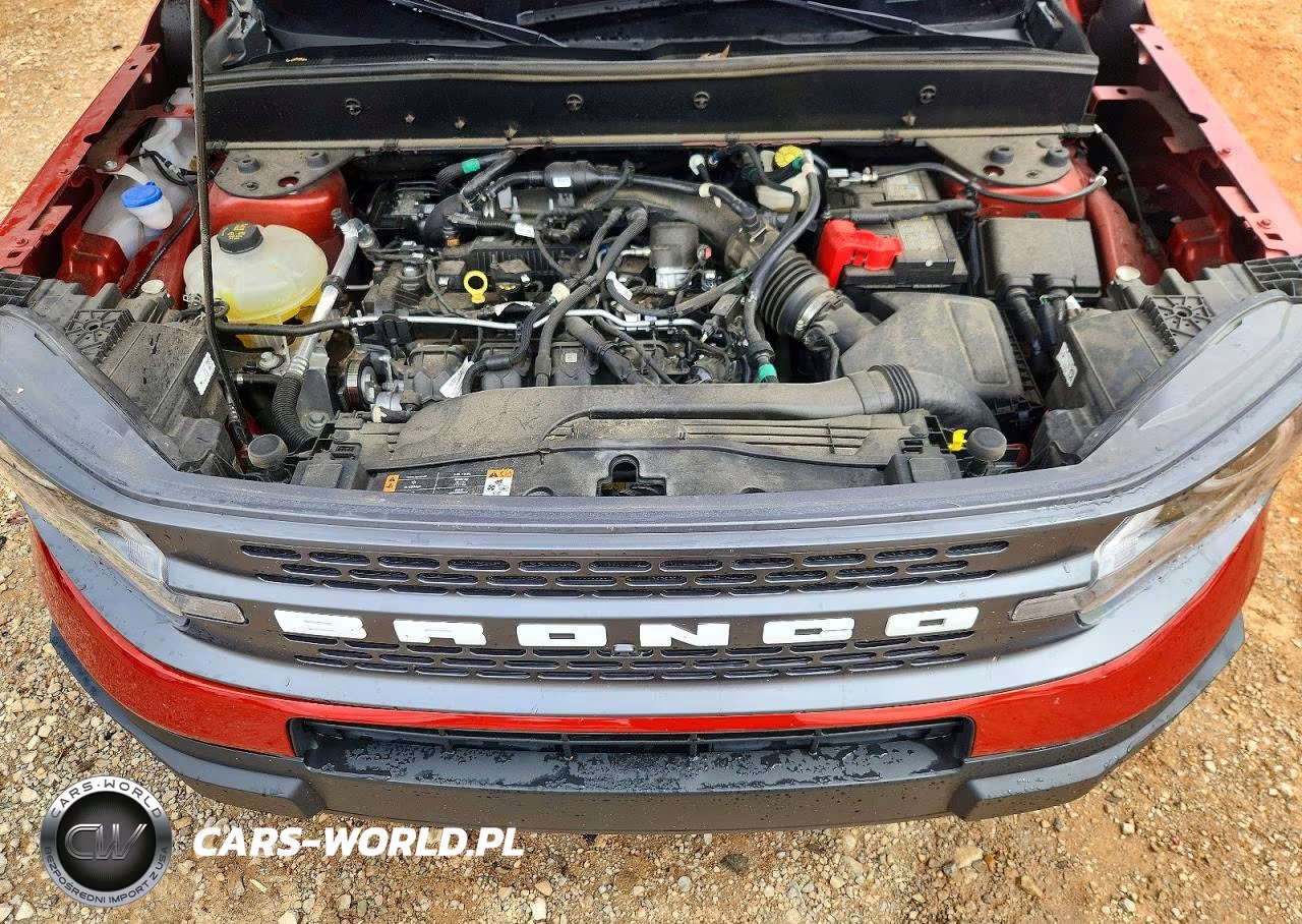 2024 Ford Bronco Sport Badlands VIN:3FMCR9D99RRE36421 - 12