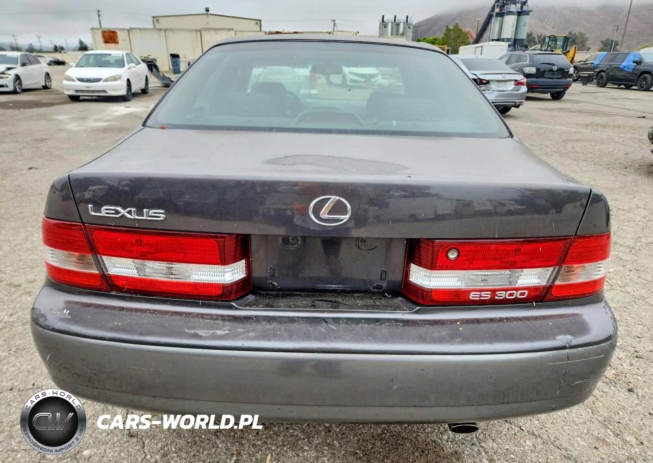 2000 Lexus Es 300 VIN:JT8BF28G8Y5101563 - 6
