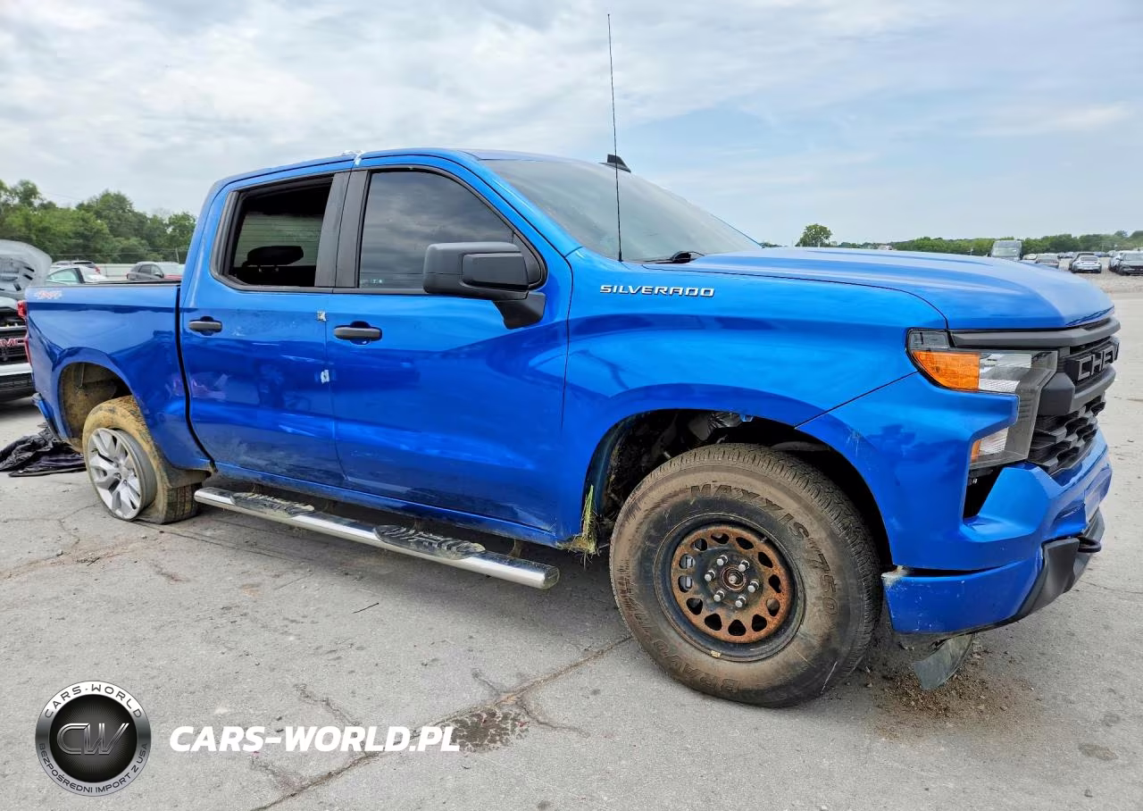 2022 Chevrolet Silverado K1500 Custom VIN:3GCPDBEK4NG532072 - 4