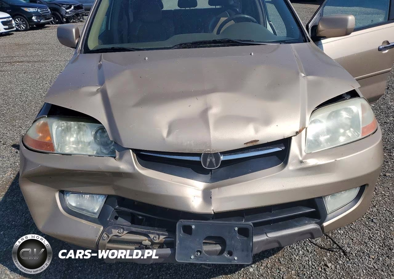 2002 Acura Mdx Touring VIN:2HNYD186X2H512461 - 11