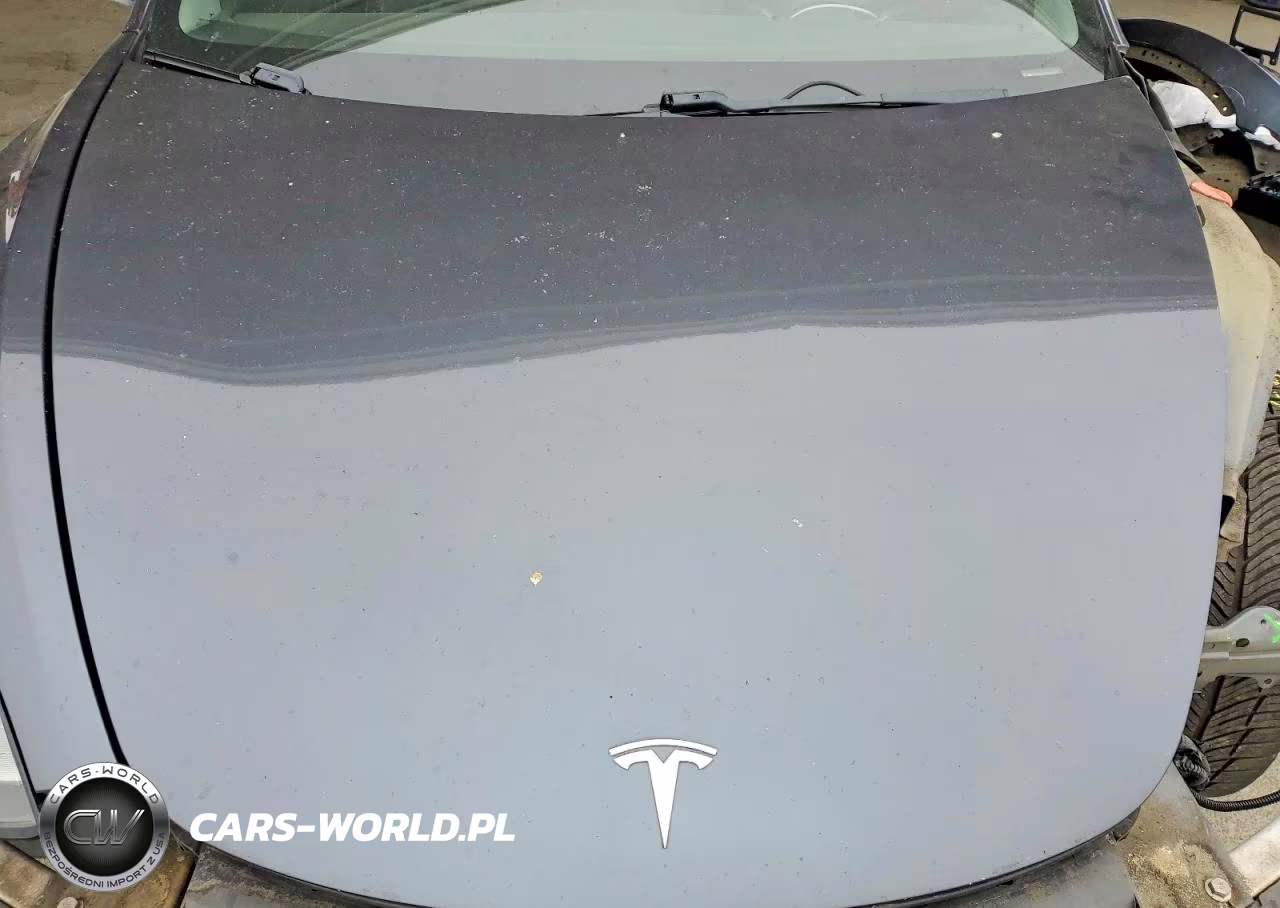 2018 Tesla Model 3 VIN:5YJ3E1EA1JF021853 - 11