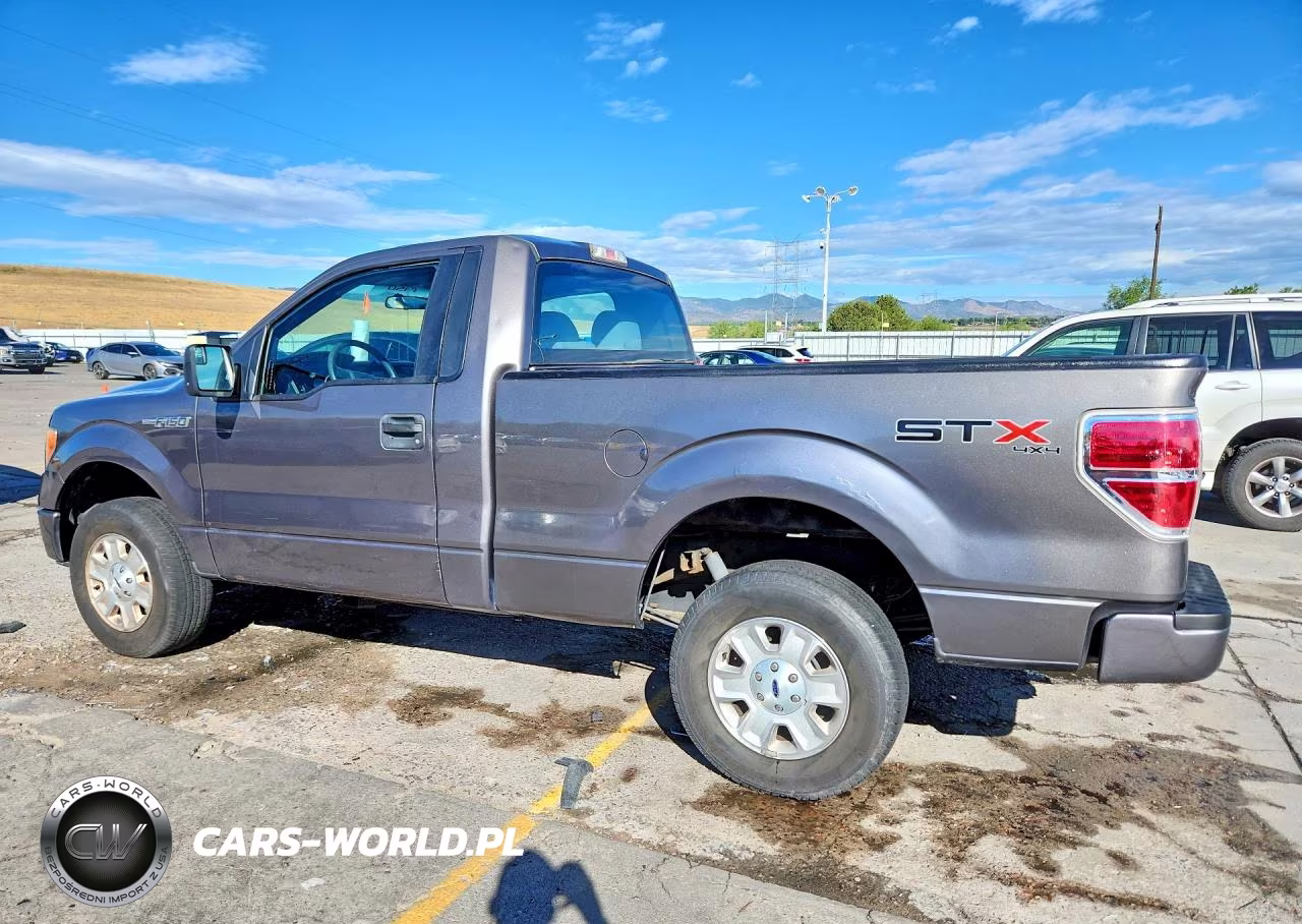 2013 Ford F150 VIN:1FTMF1EM5DKD50722 - 2