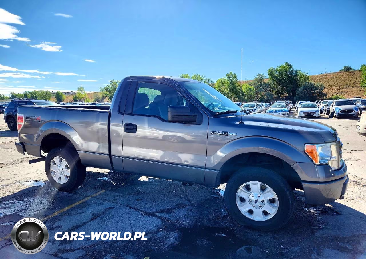 2013 Ford F150 VIN:1FTMF1EM5DKD50722 - 4