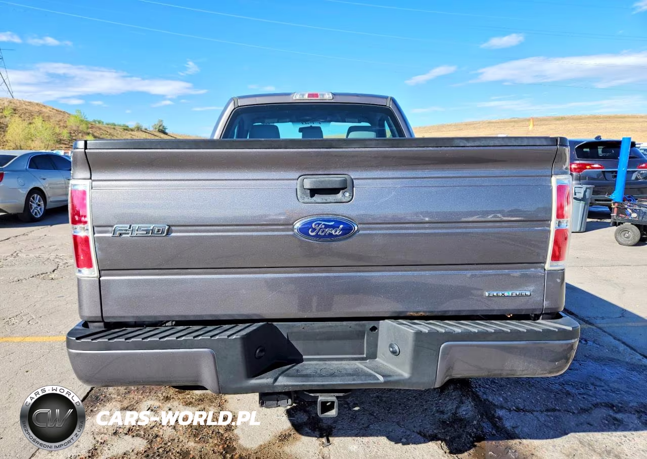 2013 Ford F150 VIN:1FTMF1EM5DKD50722 - 6