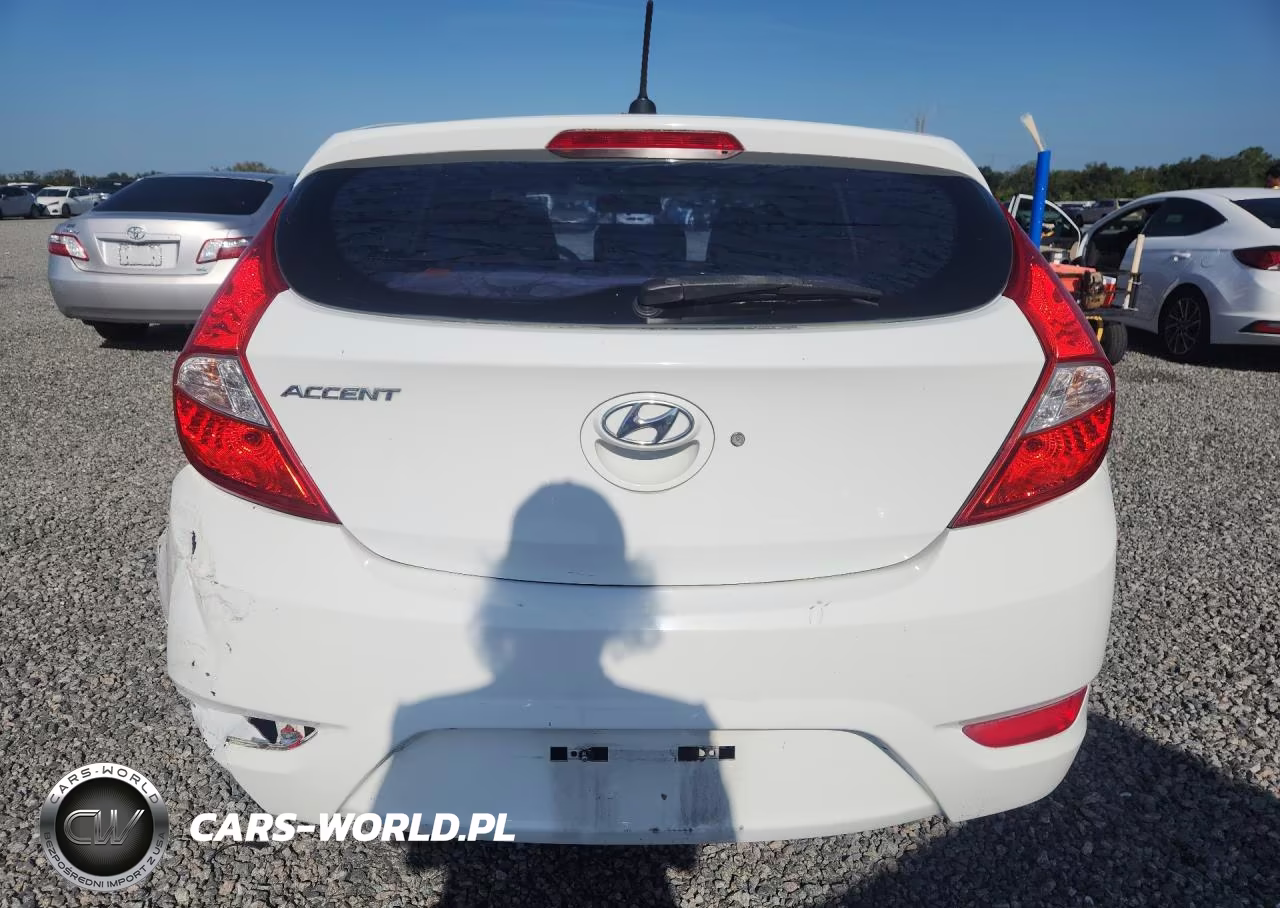 2013 Hyundai Accent Gs VIN:KMHCT5AE6DU136381 - 6