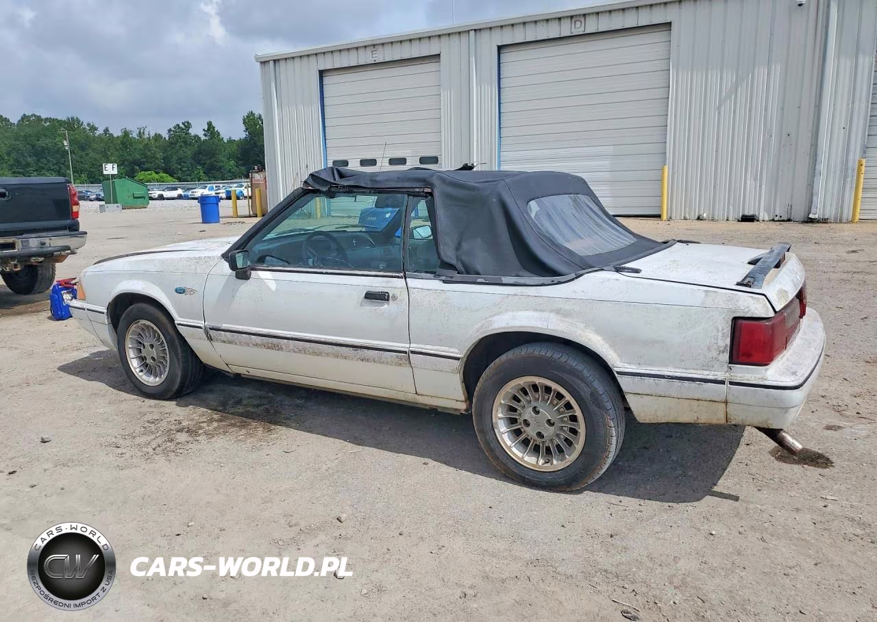 1993 Ford Mustang Lx VIN:1FACP44M5PF111802 - 2