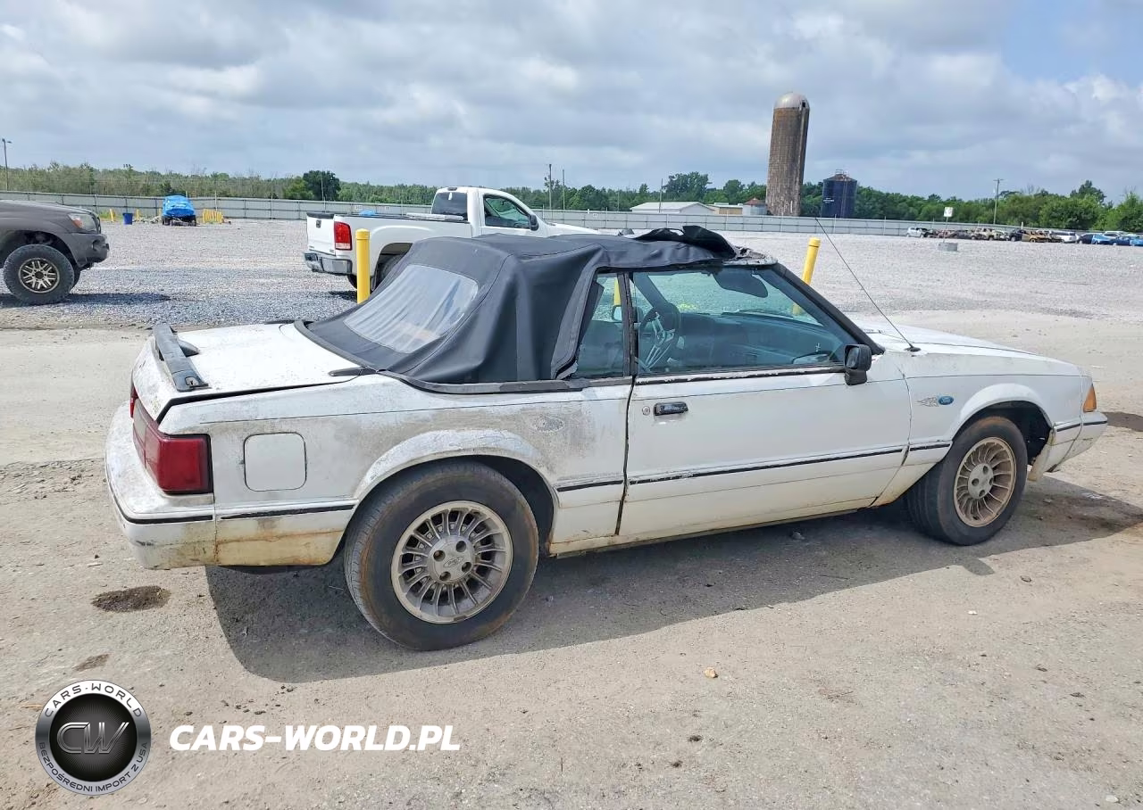 1993 Ford Mustang Lx VIN:1FACP44M5PF111802 - 3