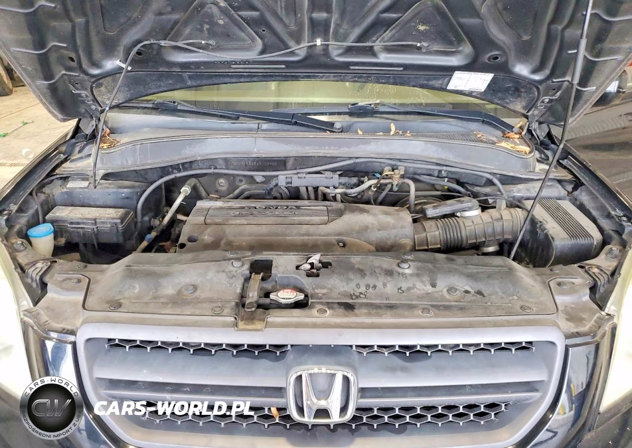 2004 Honda Pilot Exl VIN:5FNYF18684B003686 - 12
