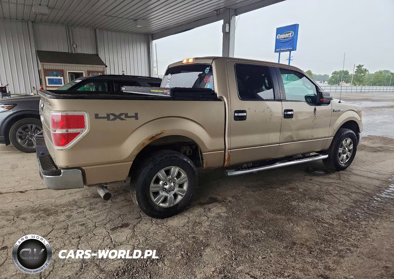 2011 Ford F-150 VIN:1FTFW1EF6BFB15701 - 3