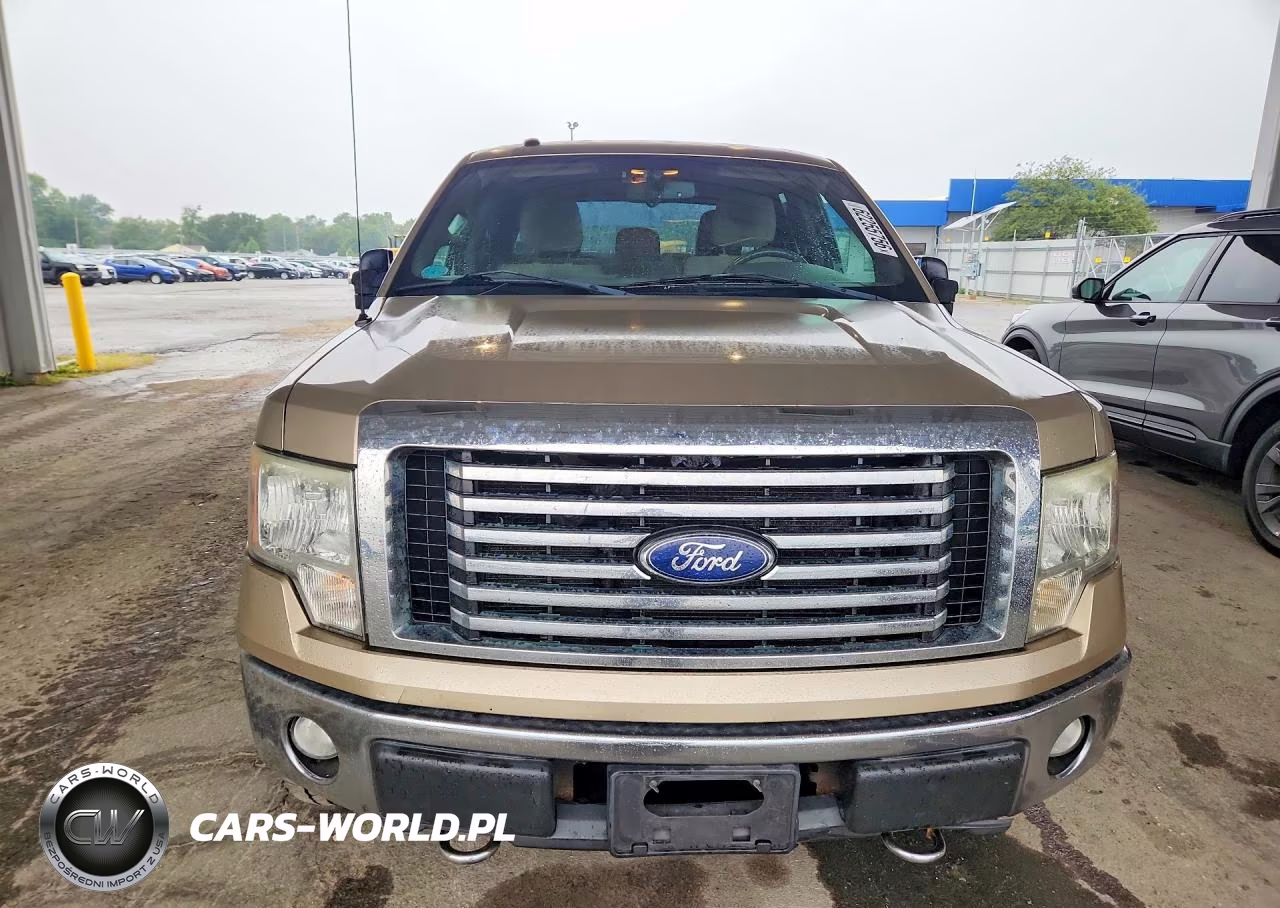 2011 Ford F-150 VIN:1FTFW1EF6BFB15701 - 5