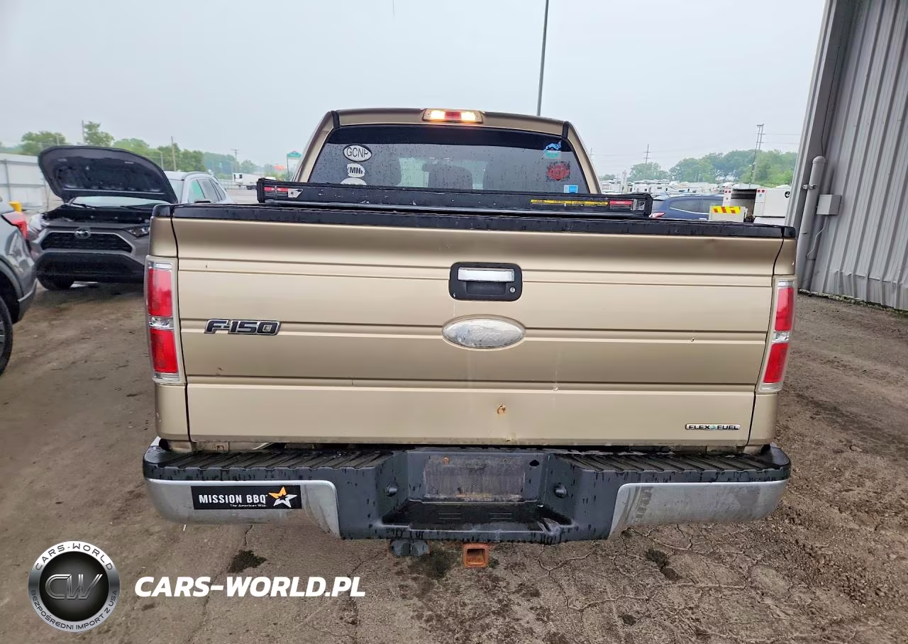 2011 Ford F-150 VIN:1FTFW1EF6BFB15701 - 6