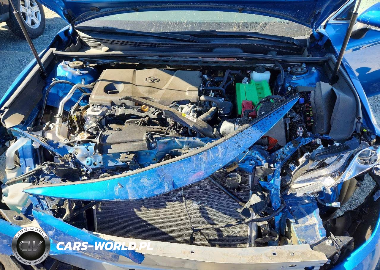 2019 Toyota Camry Xle VIN:4T1B11HKXKU239256 - 11