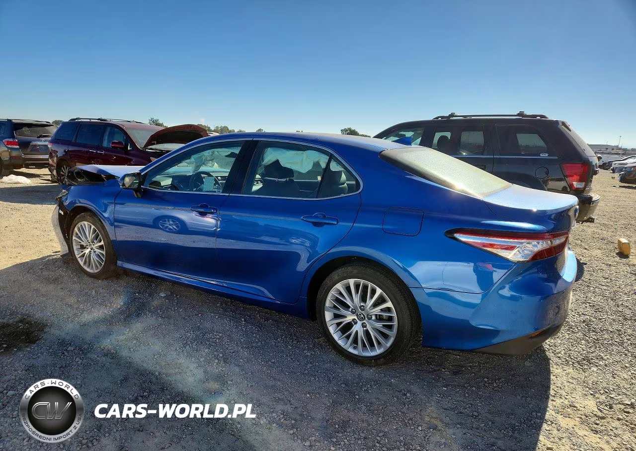 2019 Toyota Camry Xle VIN:4T1B11HKXKU239256 - 2