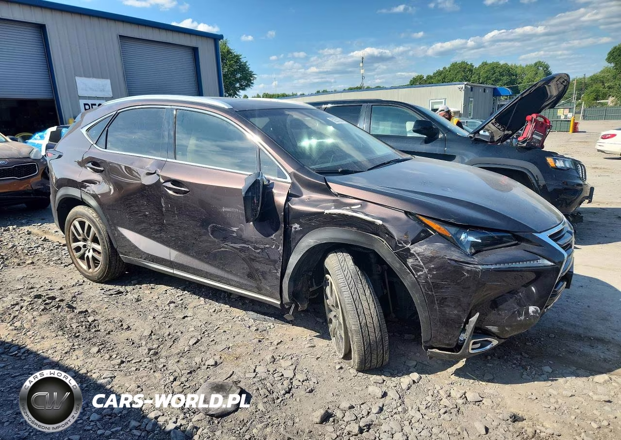 2015 Lexus Nx 200T VIN:JTJYARBZ4F2016762 - 4
