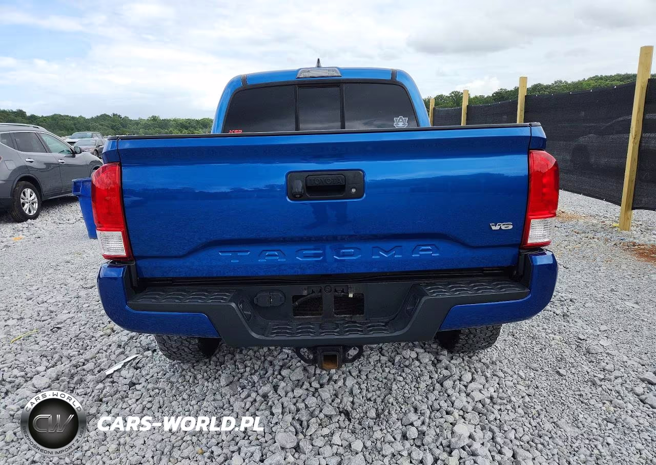 2016 Toyota Tacoma Sr5 V6 VIN:3TMAZ5CN7GM008991 - 6