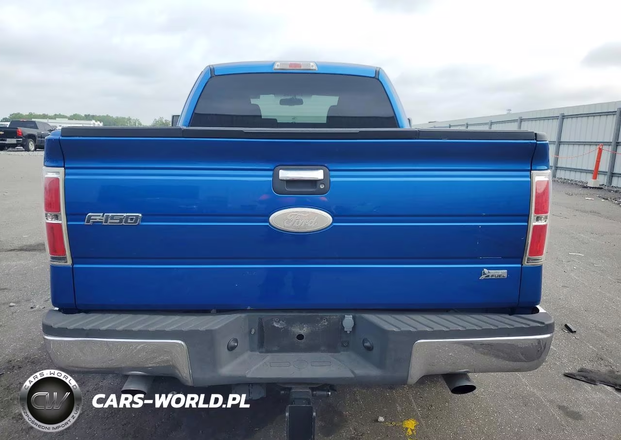 2010 Ford F150 Super Cab VIN:1FTFX1CV4AFA03209 - 6