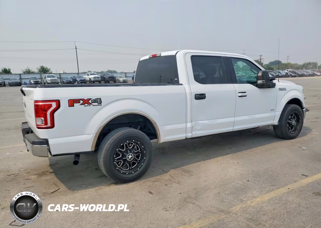 2015 Ford F150 Supercrew VIN:1FTFW1EG2FFC79302 - 3