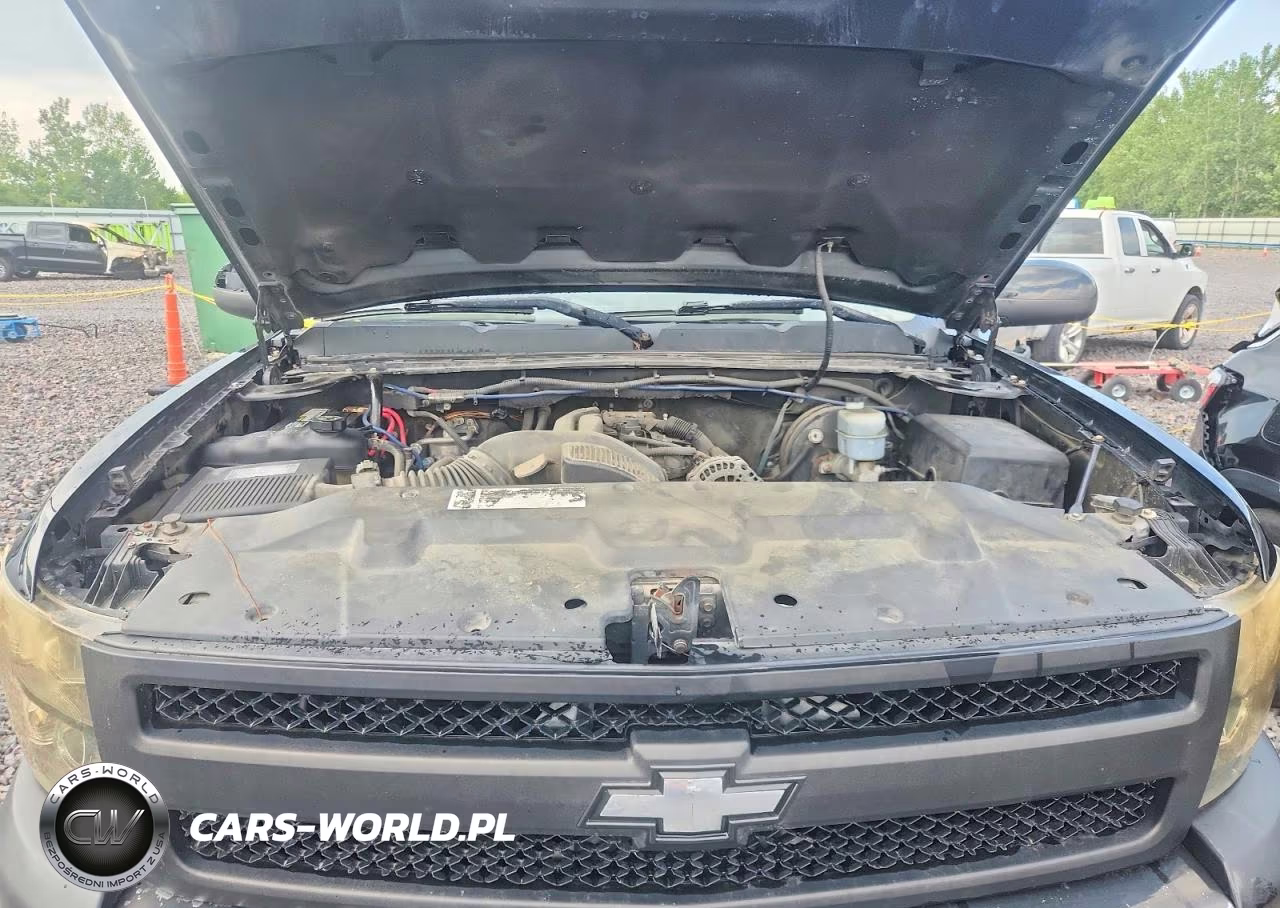 2009 Chevrolet Silverado K1500 Lt VIN:3GCEK23M29G248172 - 11