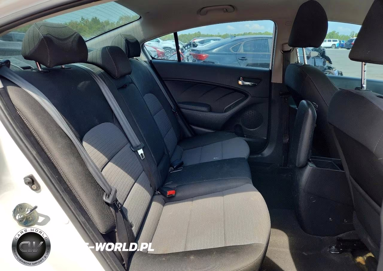 2015 Kia Forte Lx VIN:KNAFX4A64F5406565 - 10