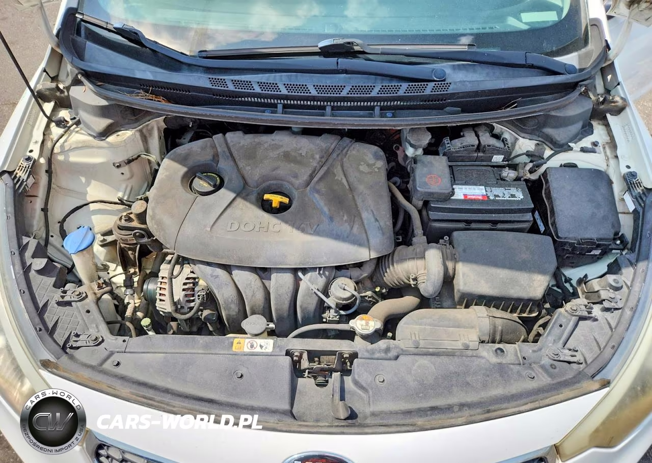 2015 Kia Forte Lx VIN:KNAFX4A64F5406565 - 11