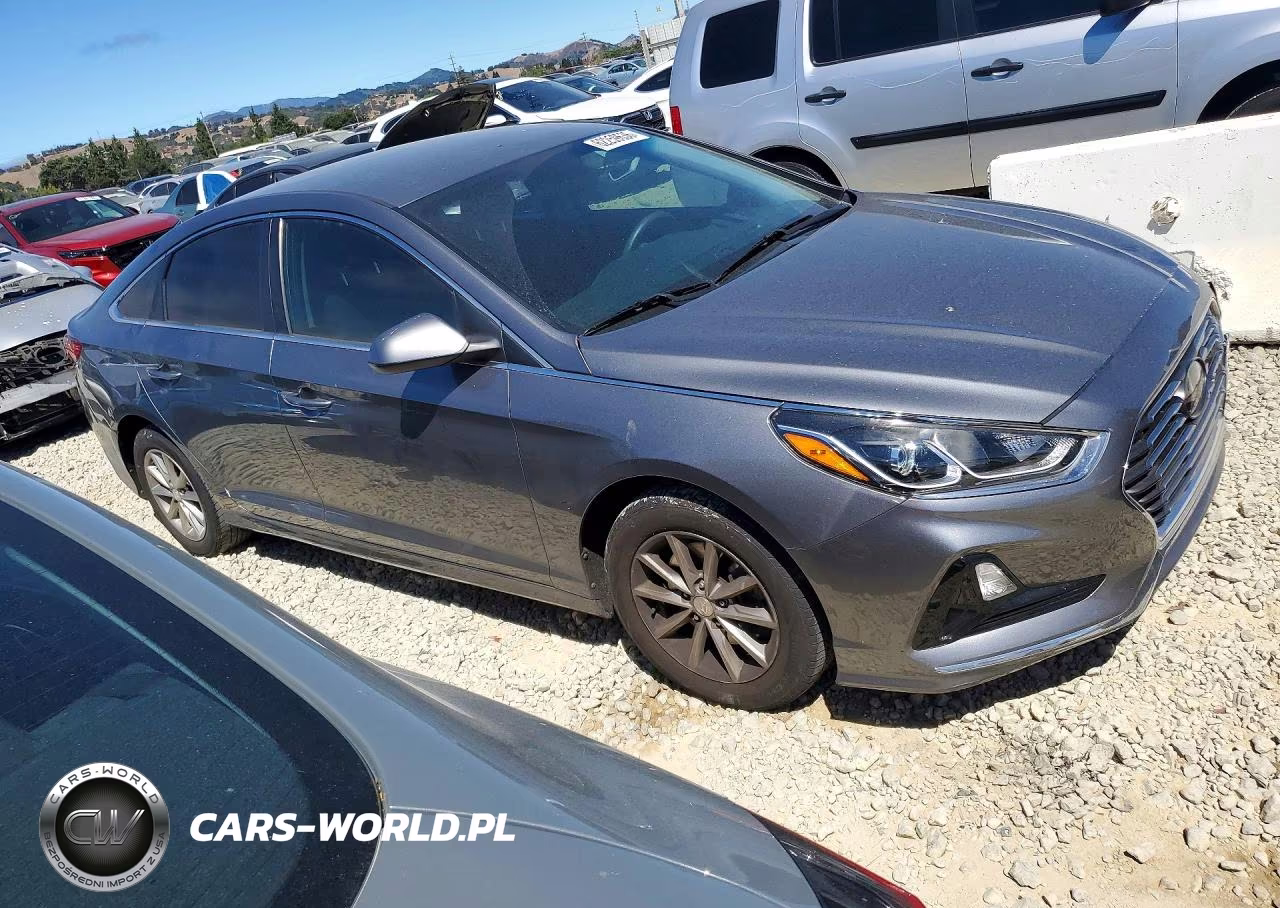 2019 Hyundai Sonata Se VIN:5NPE24AF5KH747478 - 4