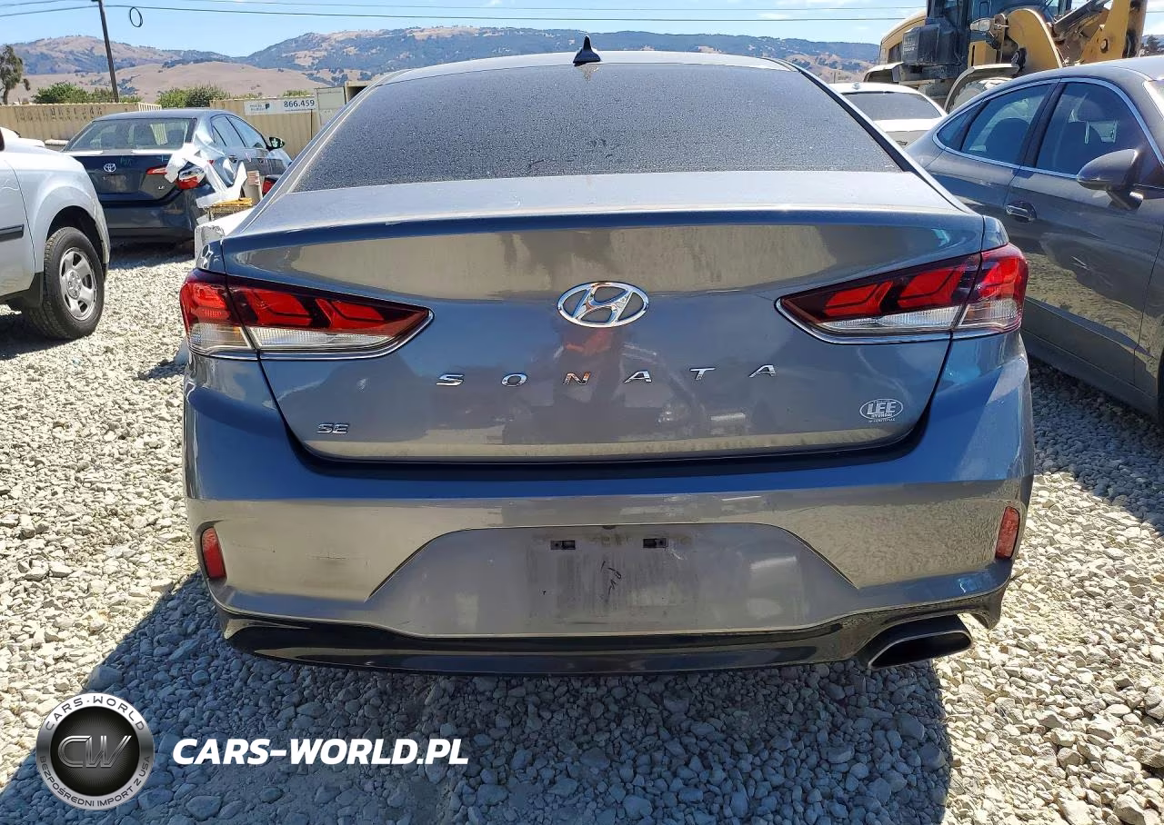 2019 Hyundai Sonata Se VIN:5NPE24AF5KH747478 - 6