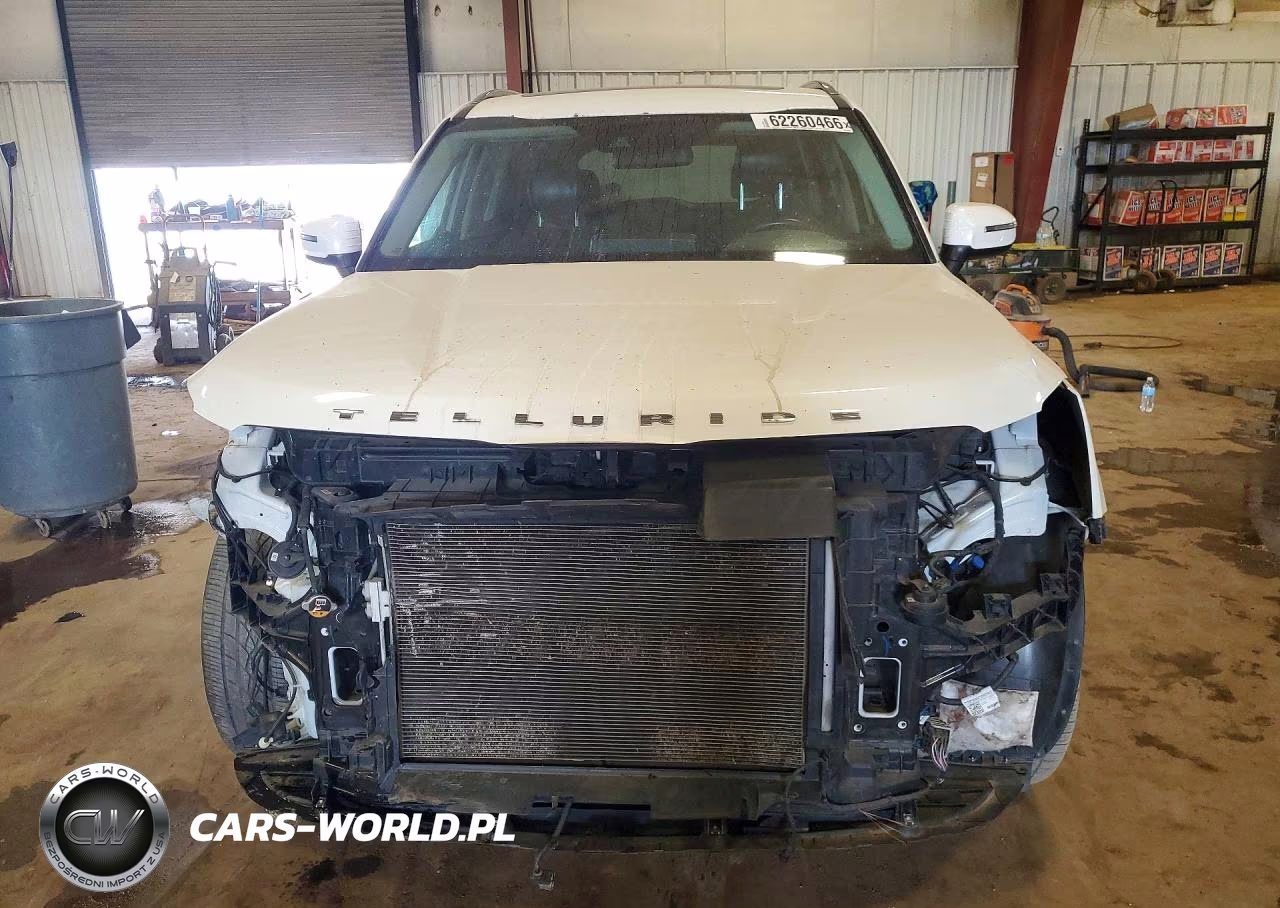 2020 Kia Telluride S VIN:5XYP64HC1LG031338 - 5