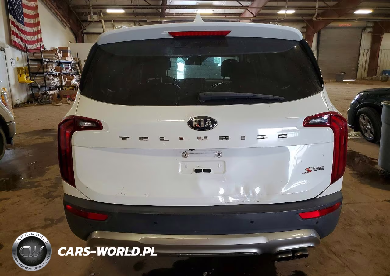 2020 Kia Telluride S VIN:5XYP64HC1LG031338 - 6