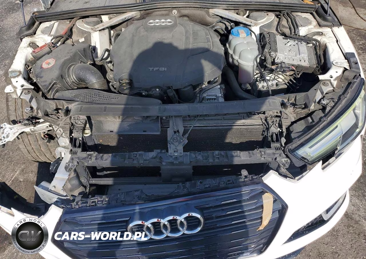 2019 Audi A4 Premium Plus VIN:WAUENAF41KN003239 - 11