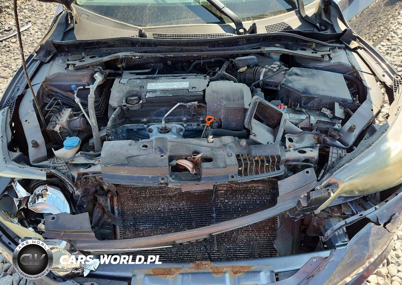 2013 Honda Accord Ex VIN:1HGCR2F76DA219372 - 11