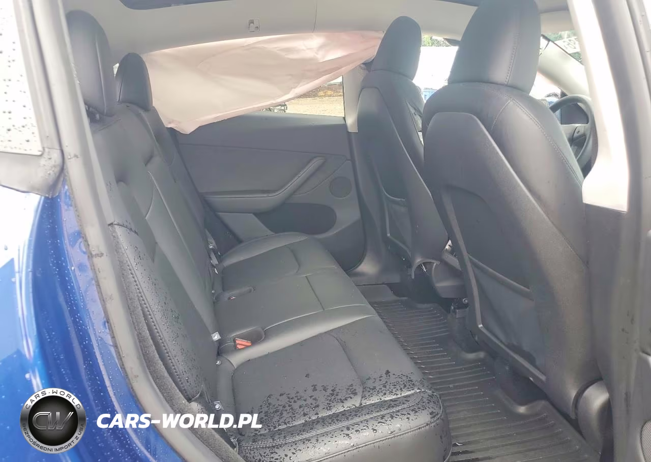 2024 Tesla Model Y VIN:7SAYGDEE5RA317524 - 10