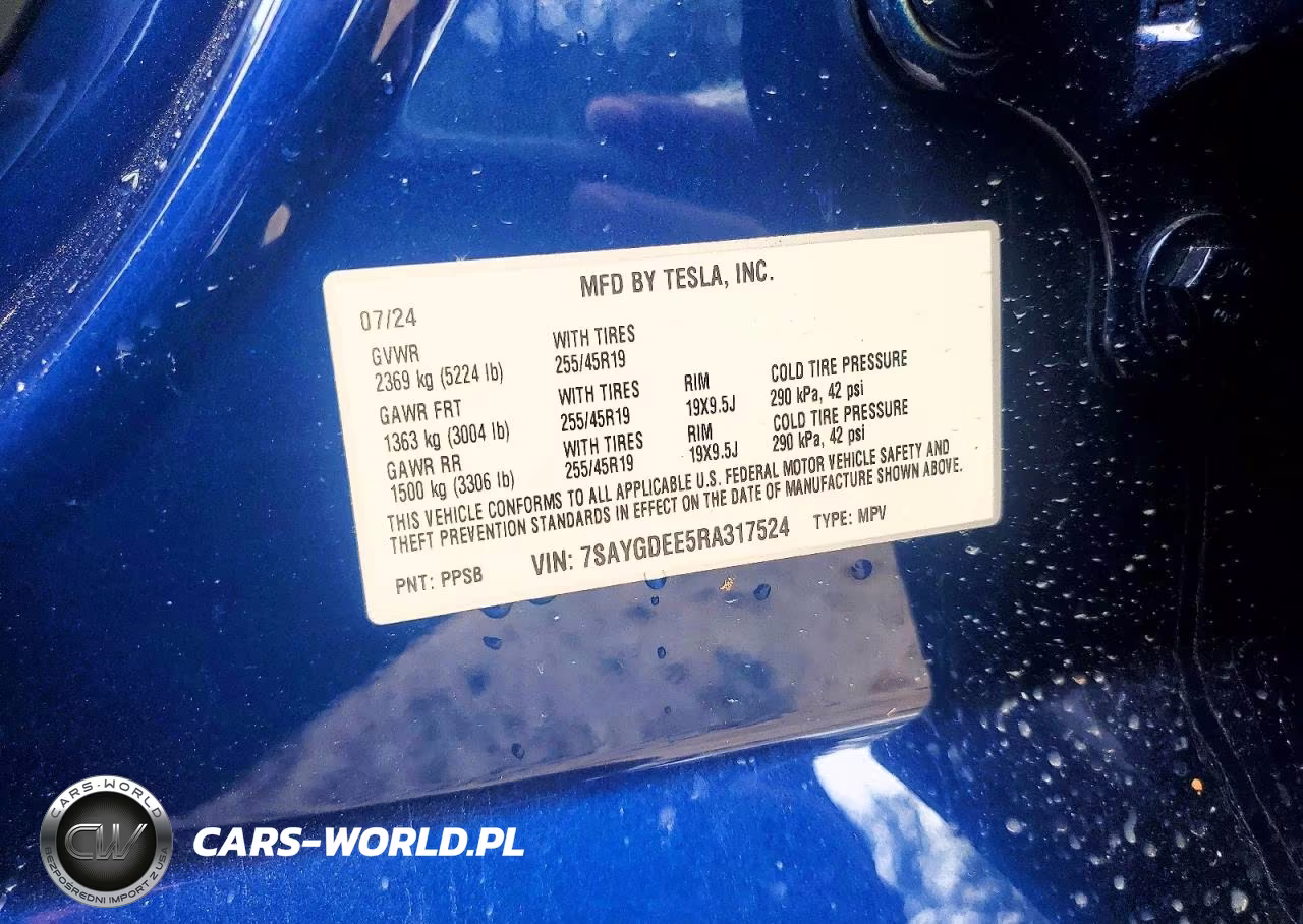 2024 Tesla Model Y VIN:7SAYGDEE5RA317524 - 12