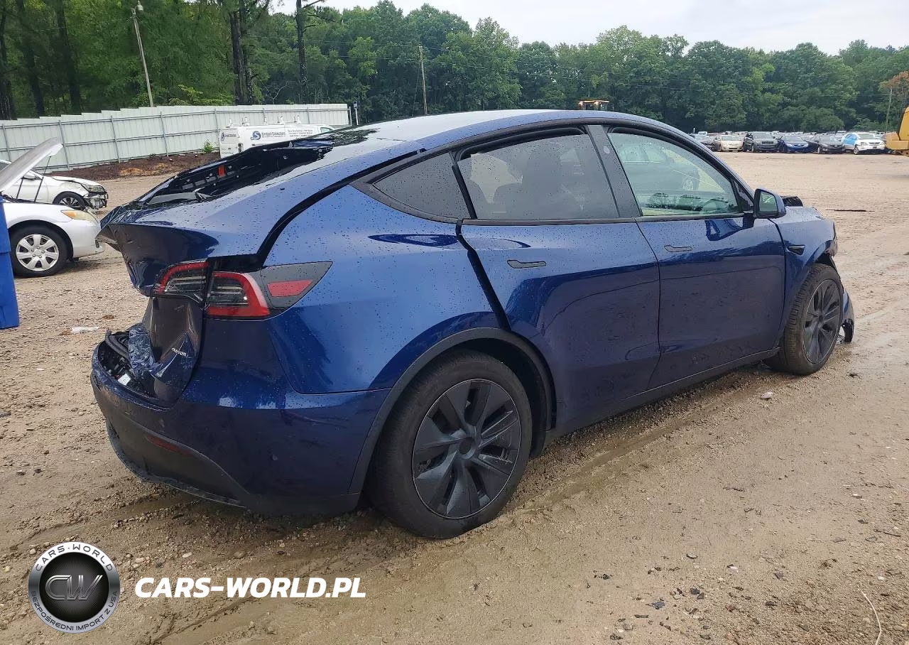 2024 Tesla Model Y VIN:7SAYGDEE5RA317524 - 3