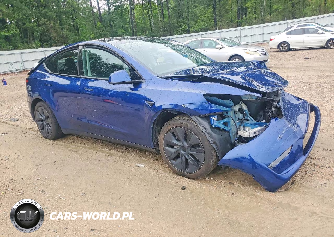 2024 Tesla Model Y VIN:7SAYGDEE5RA317524 - 4