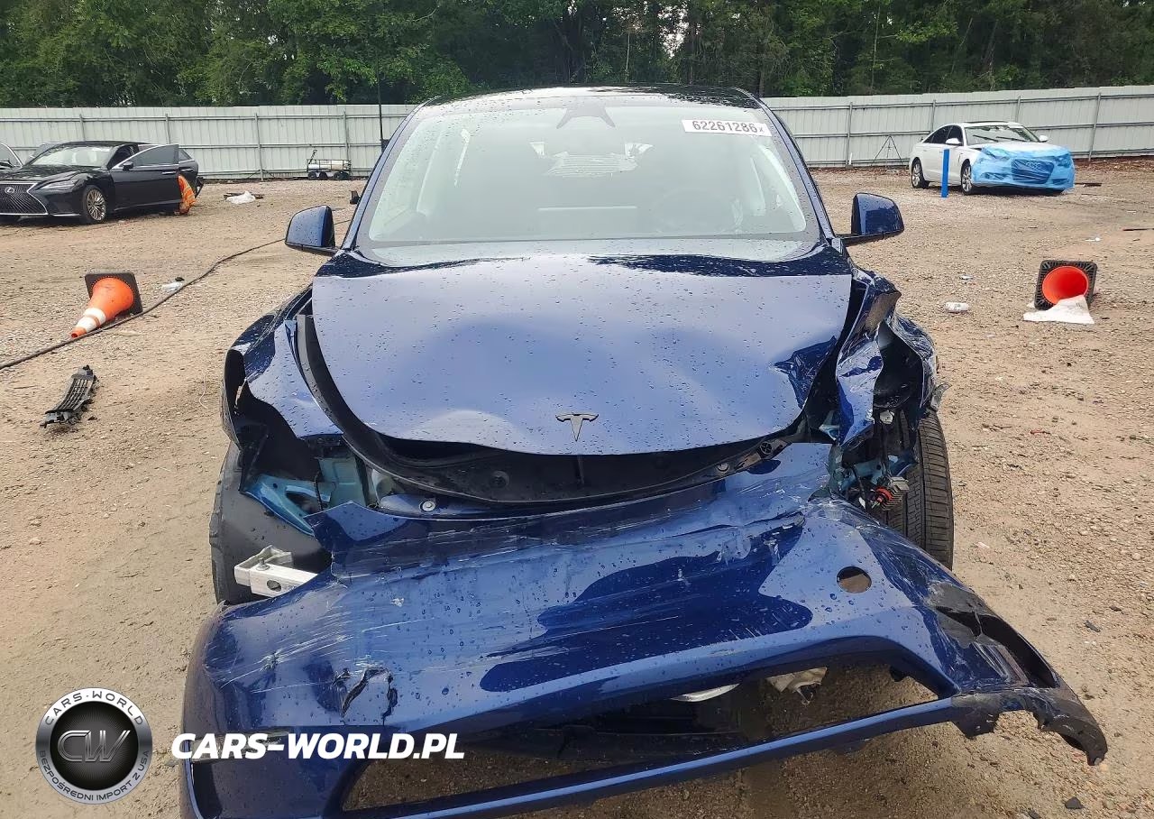 2024 Tesla Model Y VIN:7SAYGDEE5RA317524 - 5