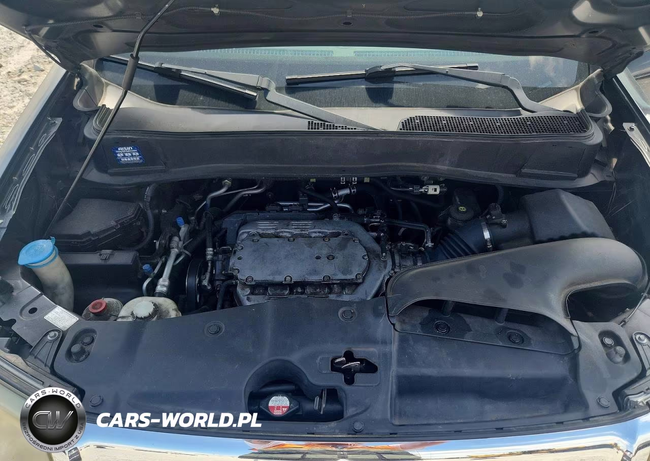 2009 Honda Pilot Exl VIN:5FNYF38549B006062 - 12