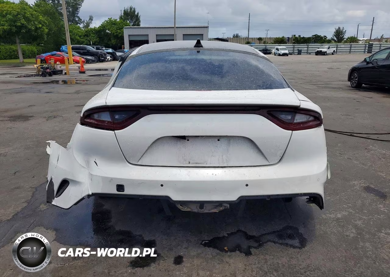 2020 Kia Stinger Gt VIN:KNAE35LC4L6077890 - 6