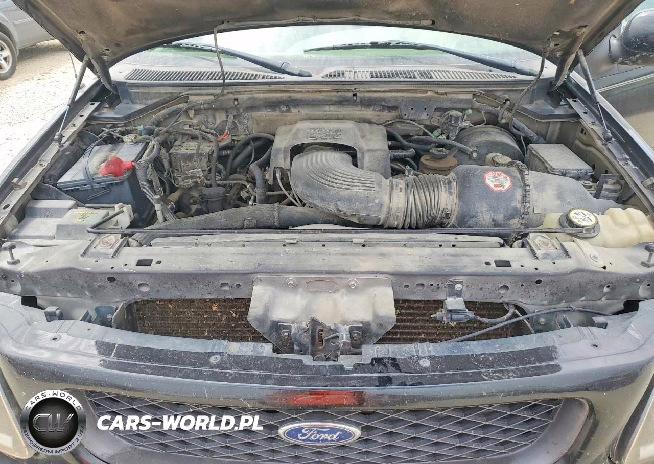 2003 Ford F150 Supercrew VIN:1FTRW08L83KA65417 - 11