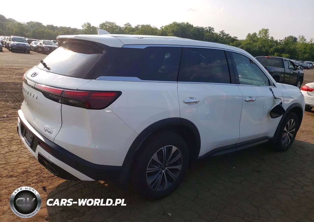 2022 Infiniti Qx60 Pure VIN:5N1DL1ES9NC331329 - 3