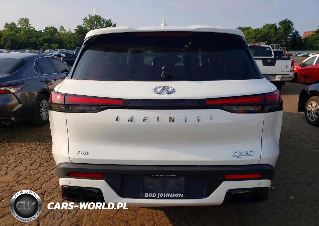 2022 Infiniti Qx60 Pure VIN:5N1DL1ES9NC331329 - 6