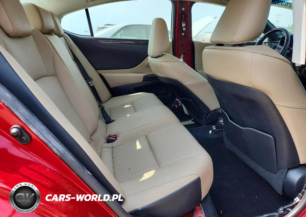 2021 Lexus Es 250 Base VIN:58AD11D12MU004514 - 10