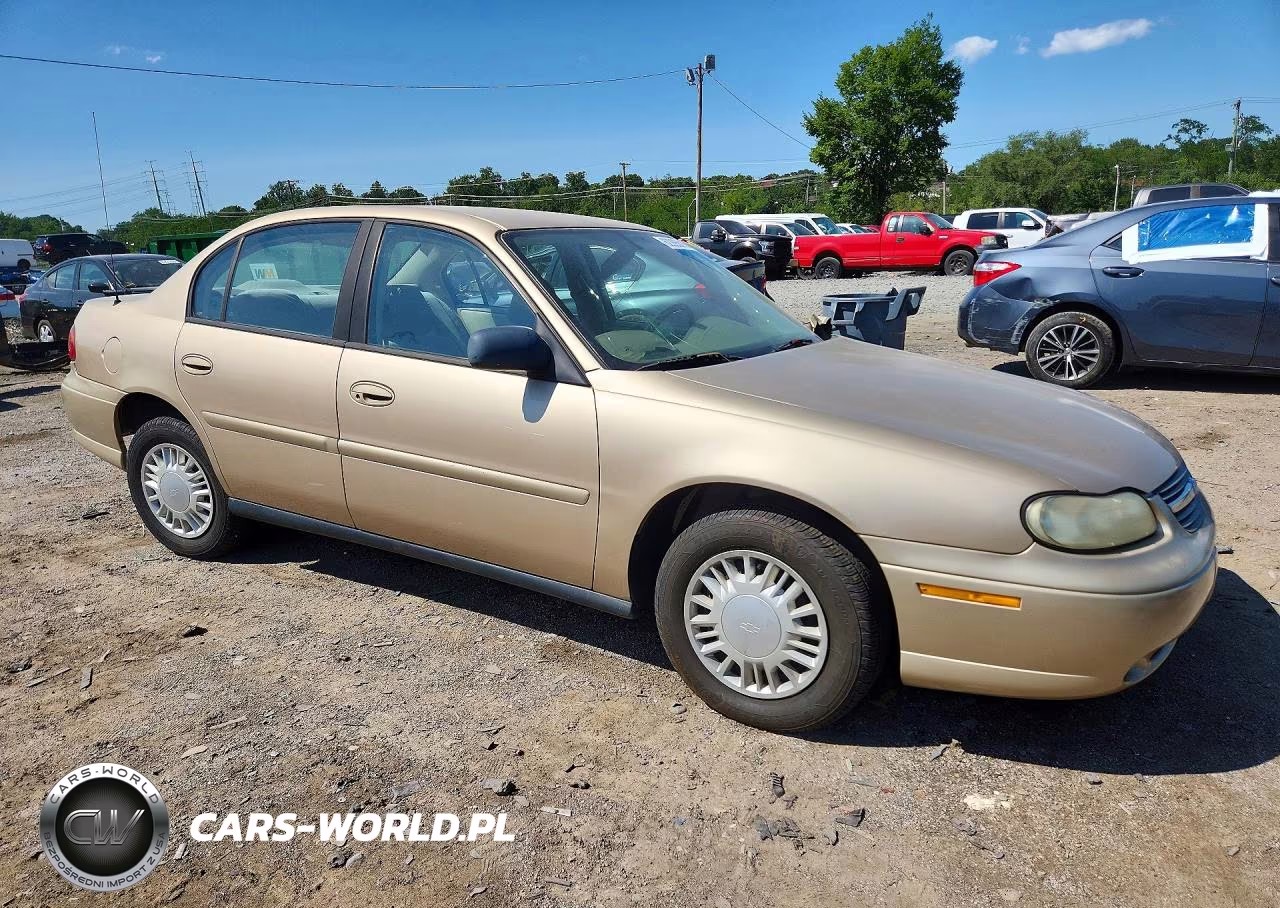 2005 Chevrolet Classic VIN:1G1ND52F25M196119 - 4