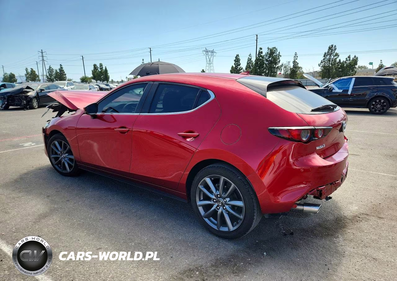 2019 Mazda 3 Preferred VIN:JM1BPAMM4K1119710 - 2