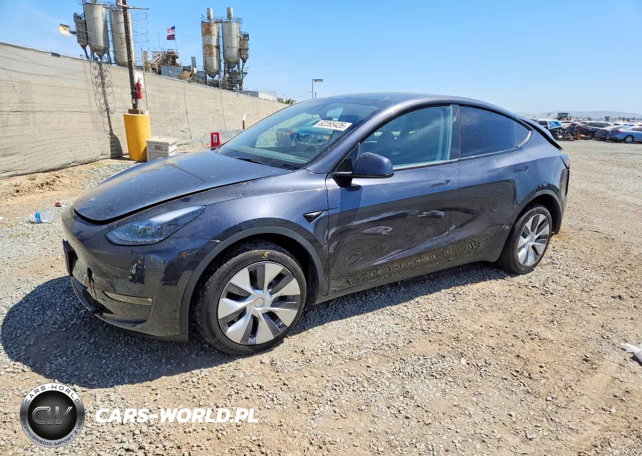 2024 Tesla Model Y VIN:7SAYGDEE3RF081569 - 1