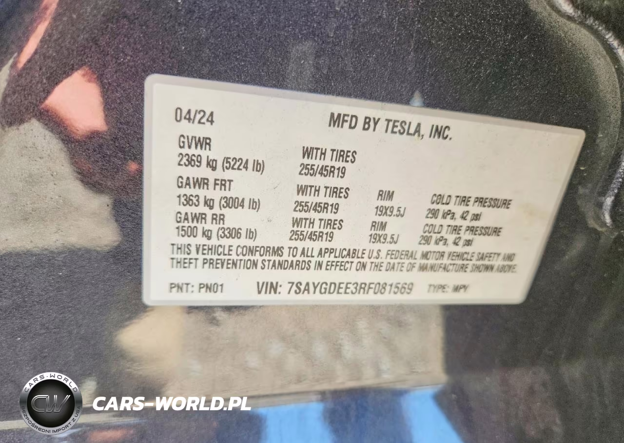 2024 Tesla Model Y VIN:7SAYGDEE3RF081569 - 12