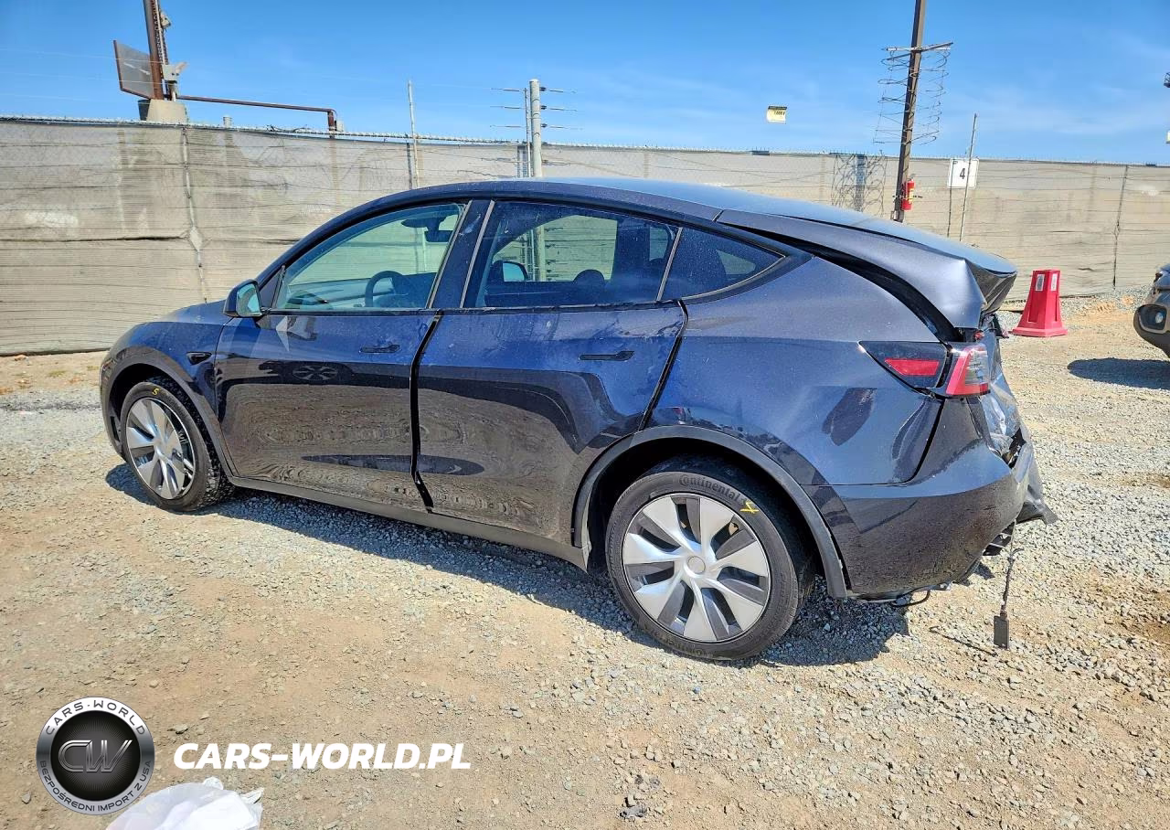 2024 Tesla Model Y VIN:7SAYGDEE3RF081569 - 2