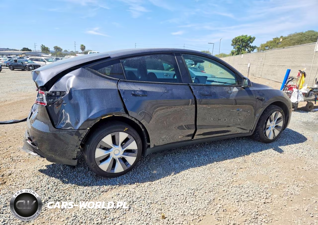 2024 Tesla Model Y VIN:7SAYGDEE3RF081569 - 3
