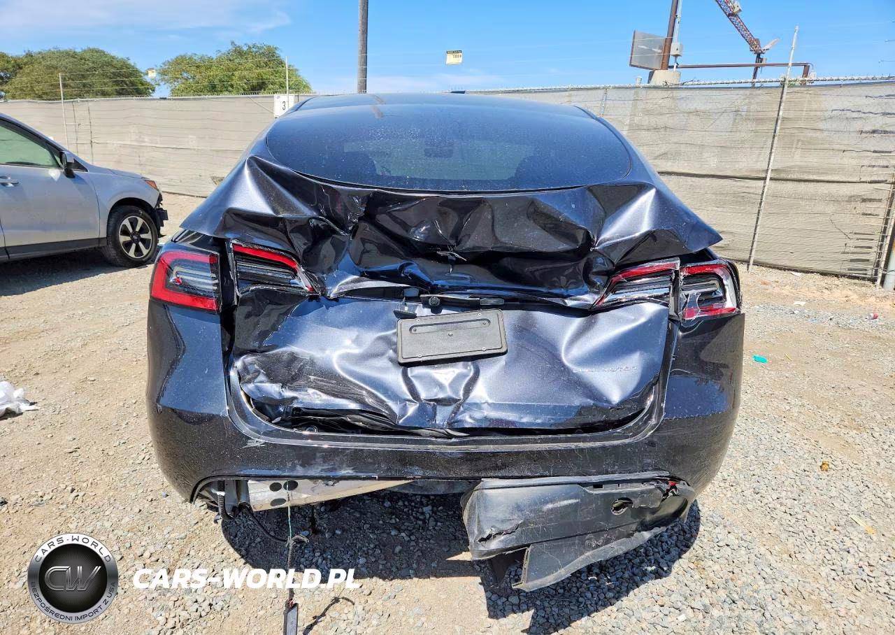 2024 Tesla Model Y VIN:7SAYGDEE3RF081569 - 6