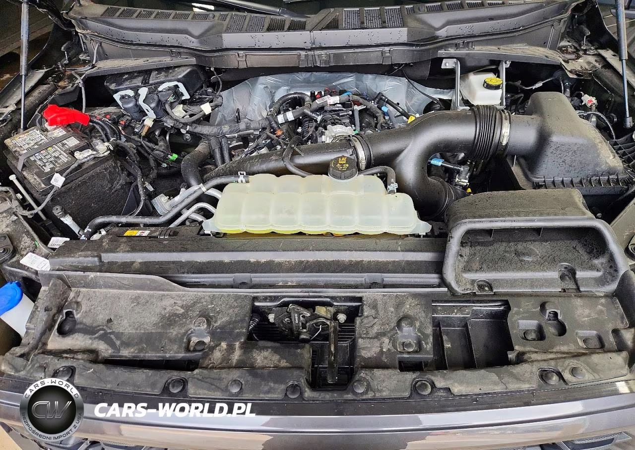 2025 Ford F150 Stx VIN:1FTEX2LP3SKE67362 - 11